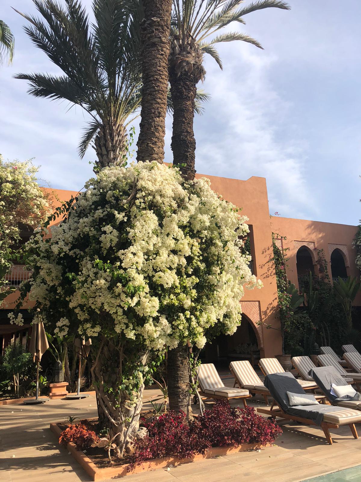 Hotel d'Agadir
