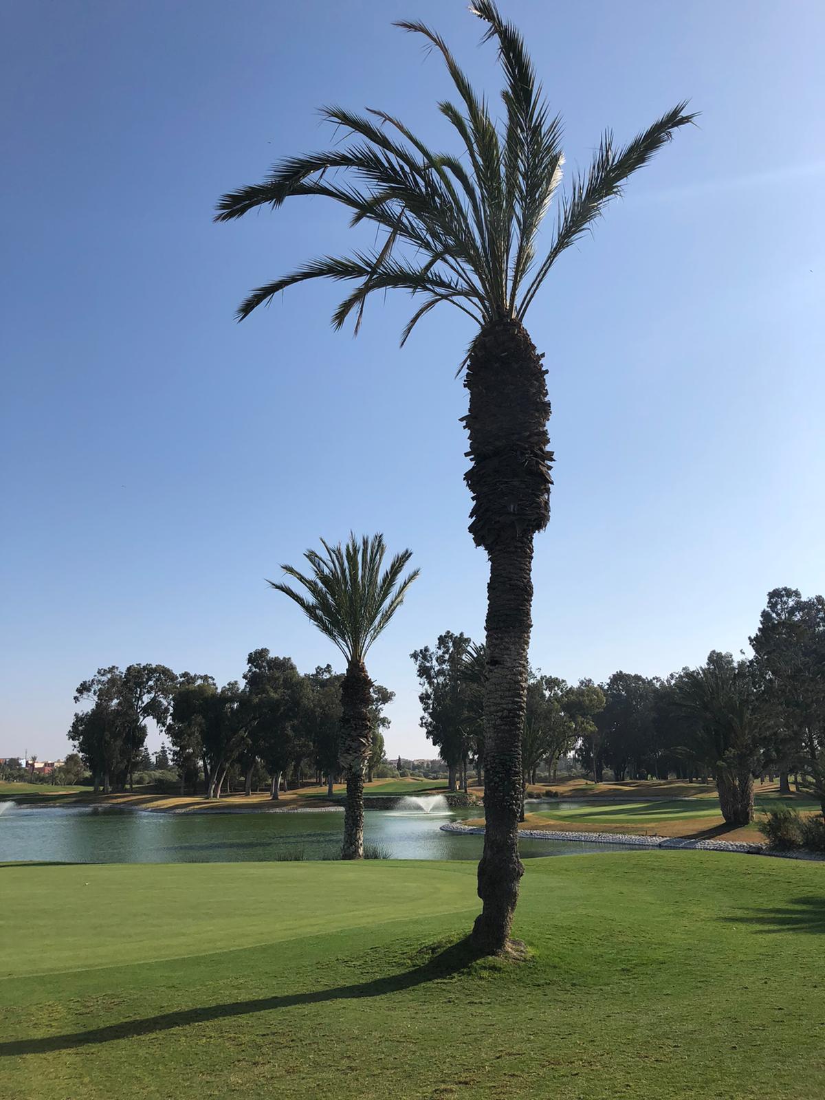 Golf et palmiers d'Agadir