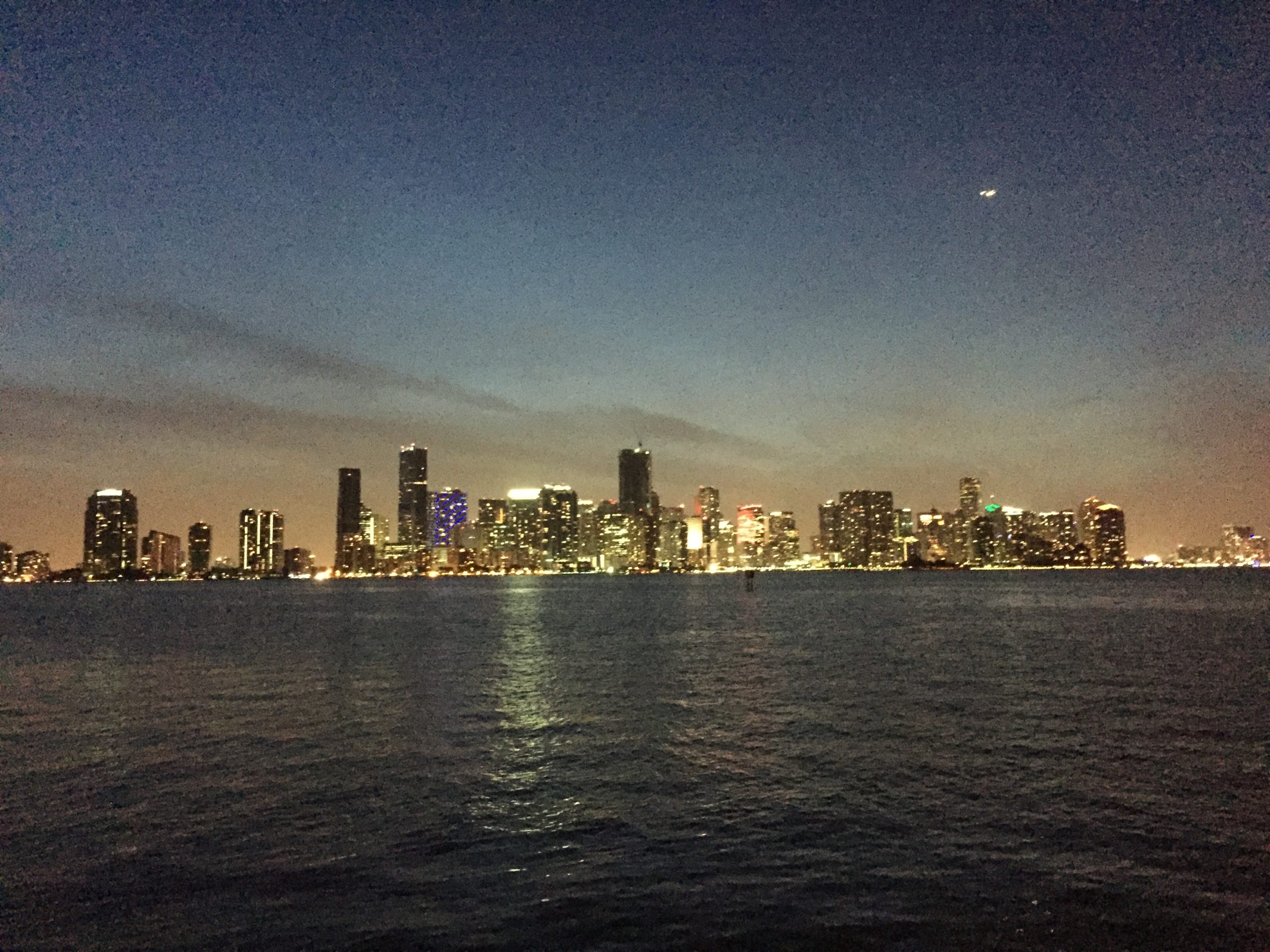 Miami nocturne